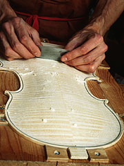 Thomas Bertrand – Luthier